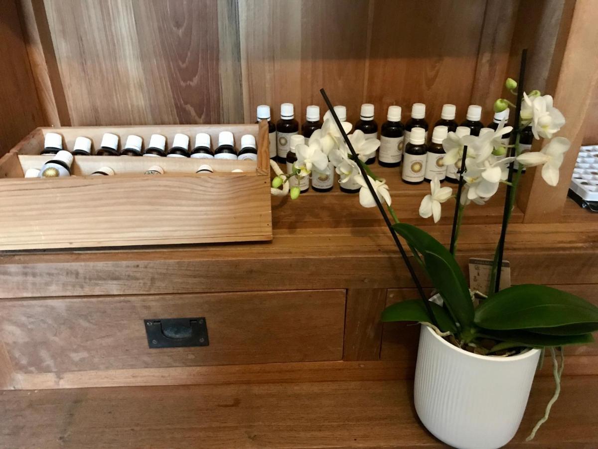 Coeur De Roses, Gite & Chambre D'Hotes Alaigne エクステリア 写真